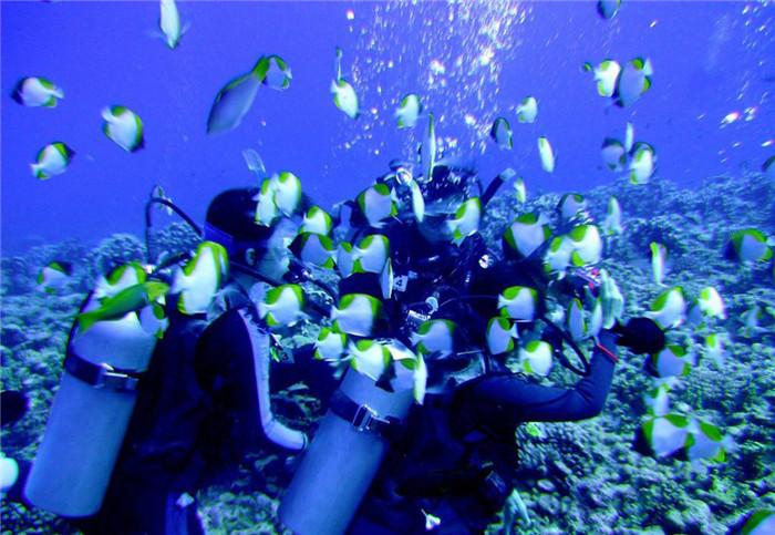 北汽男篮锁定前深圳队外援布克